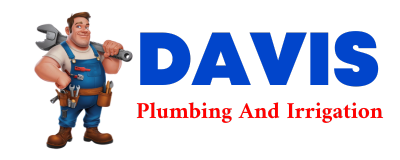 Trusted plumber in SAINT BERNICE